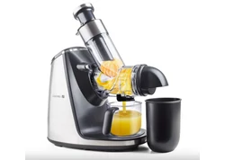 Gyümölcsfacsaró és Zöldségfacsaró gépek