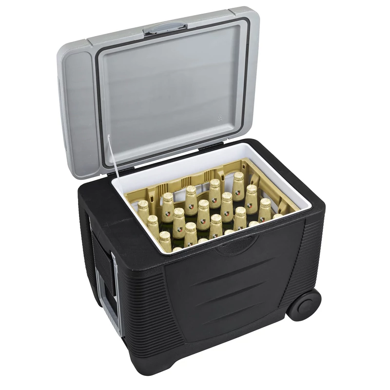 G21-cw45-8